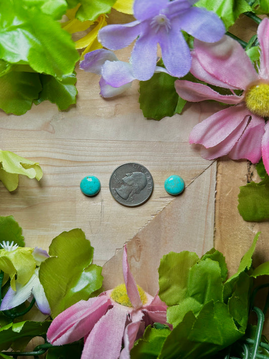Kingman Turquoise Cabs