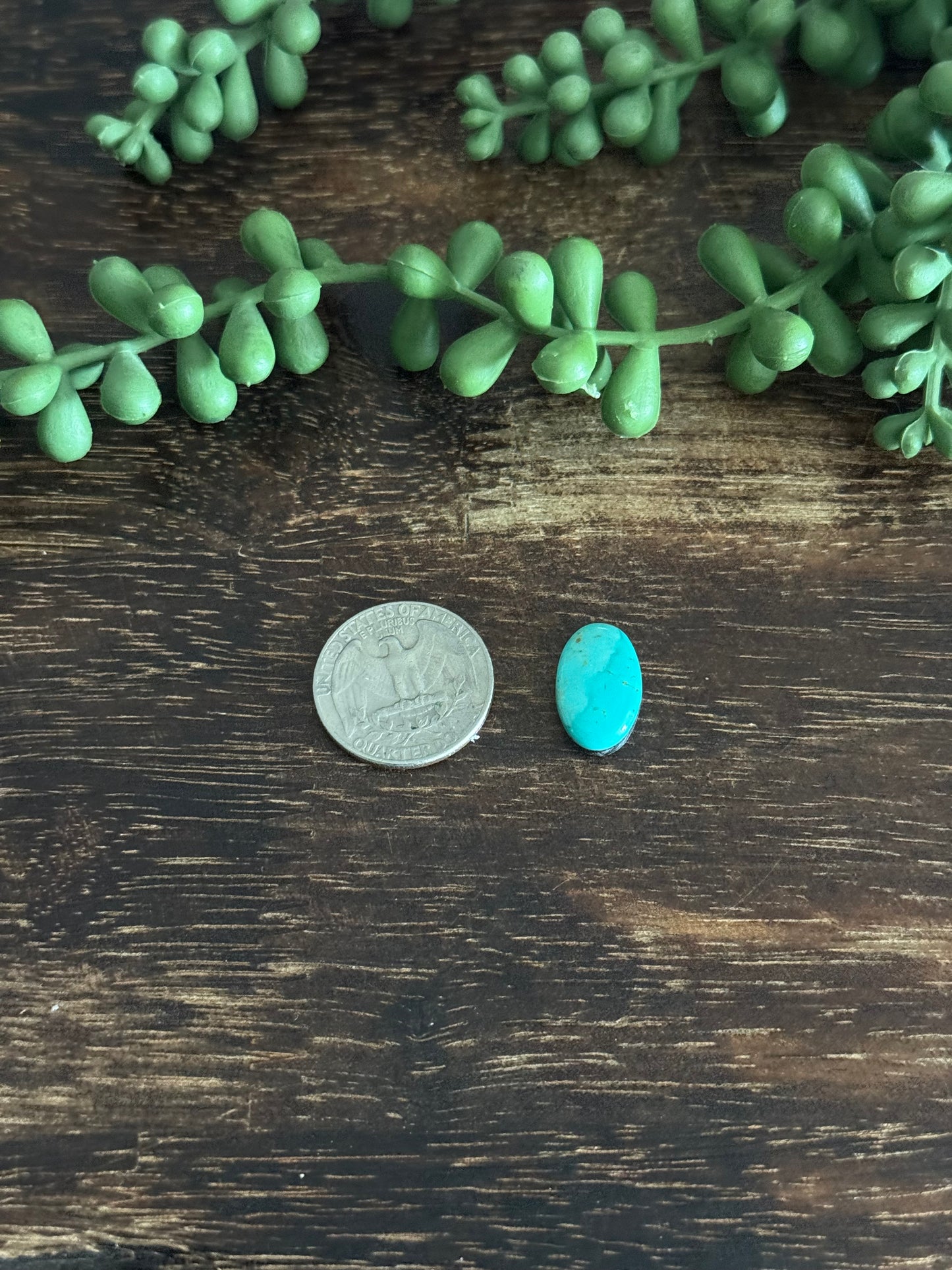 Kingman Turquoise Cab