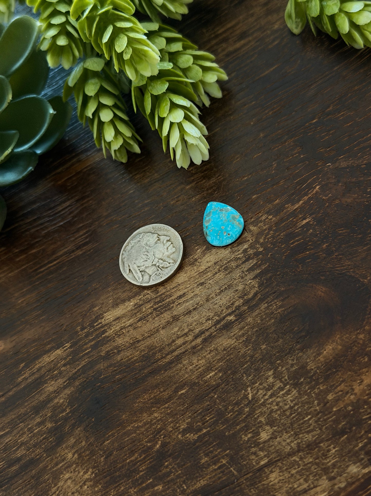 Blue Bird Turquoise Cab