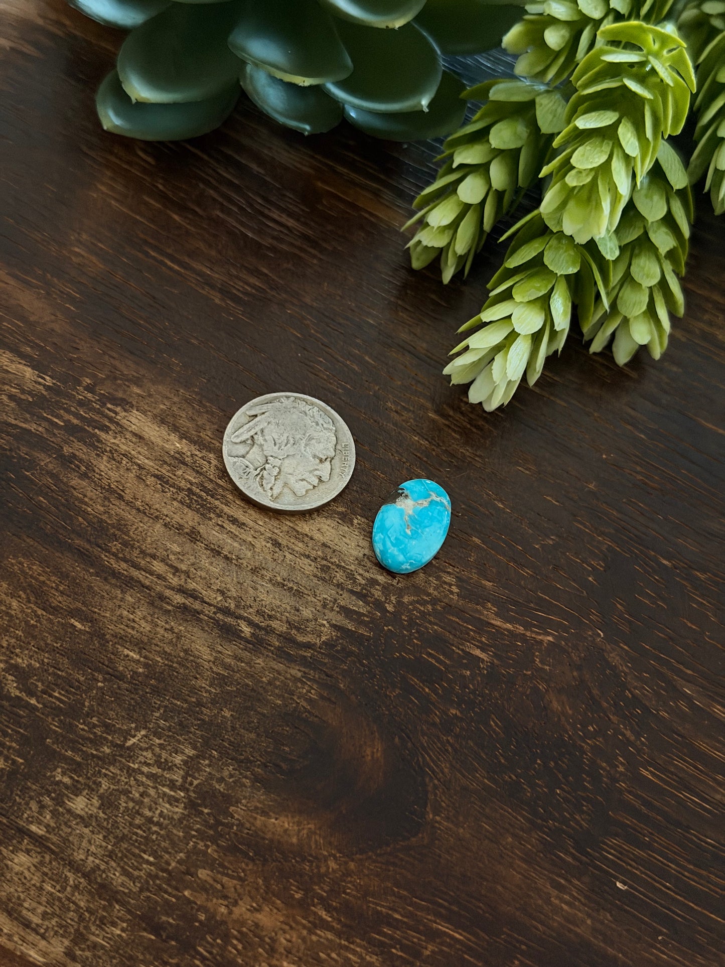 Blue Bird Turquoise Cab