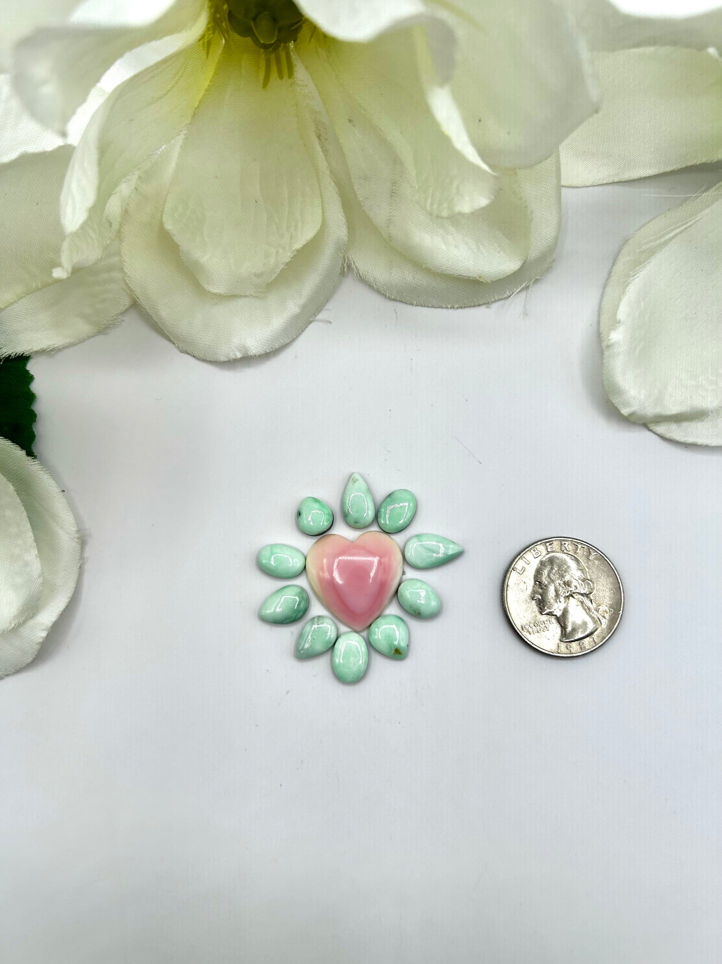 Paloma Variscite/Pink Conch Cabs