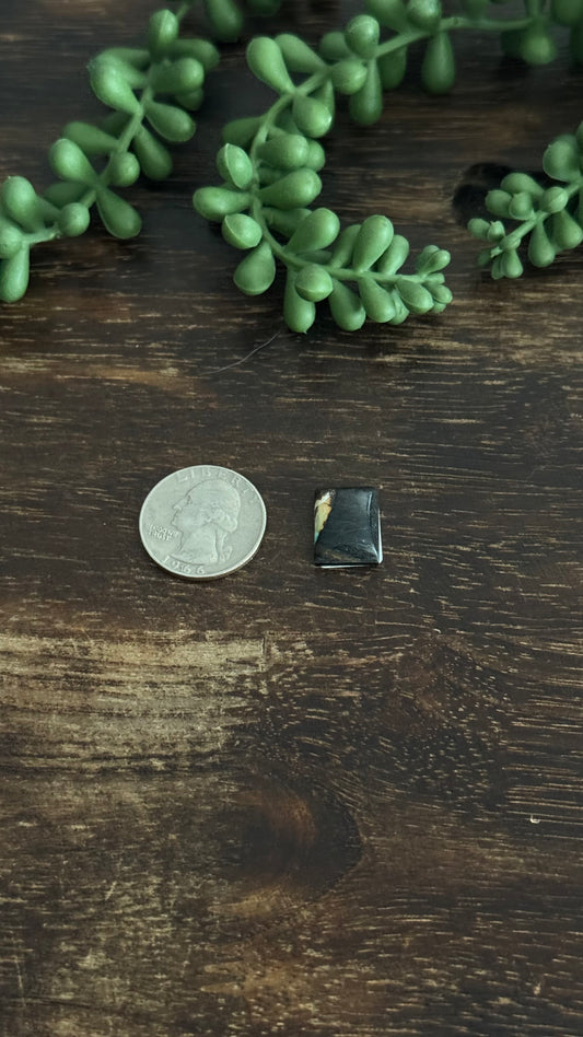 Black Jack Turquoise Cab