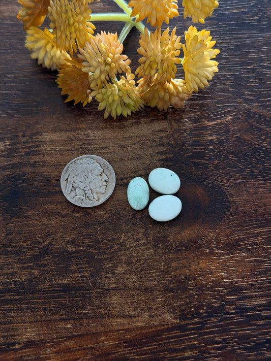 Paloma Variscite Cabs