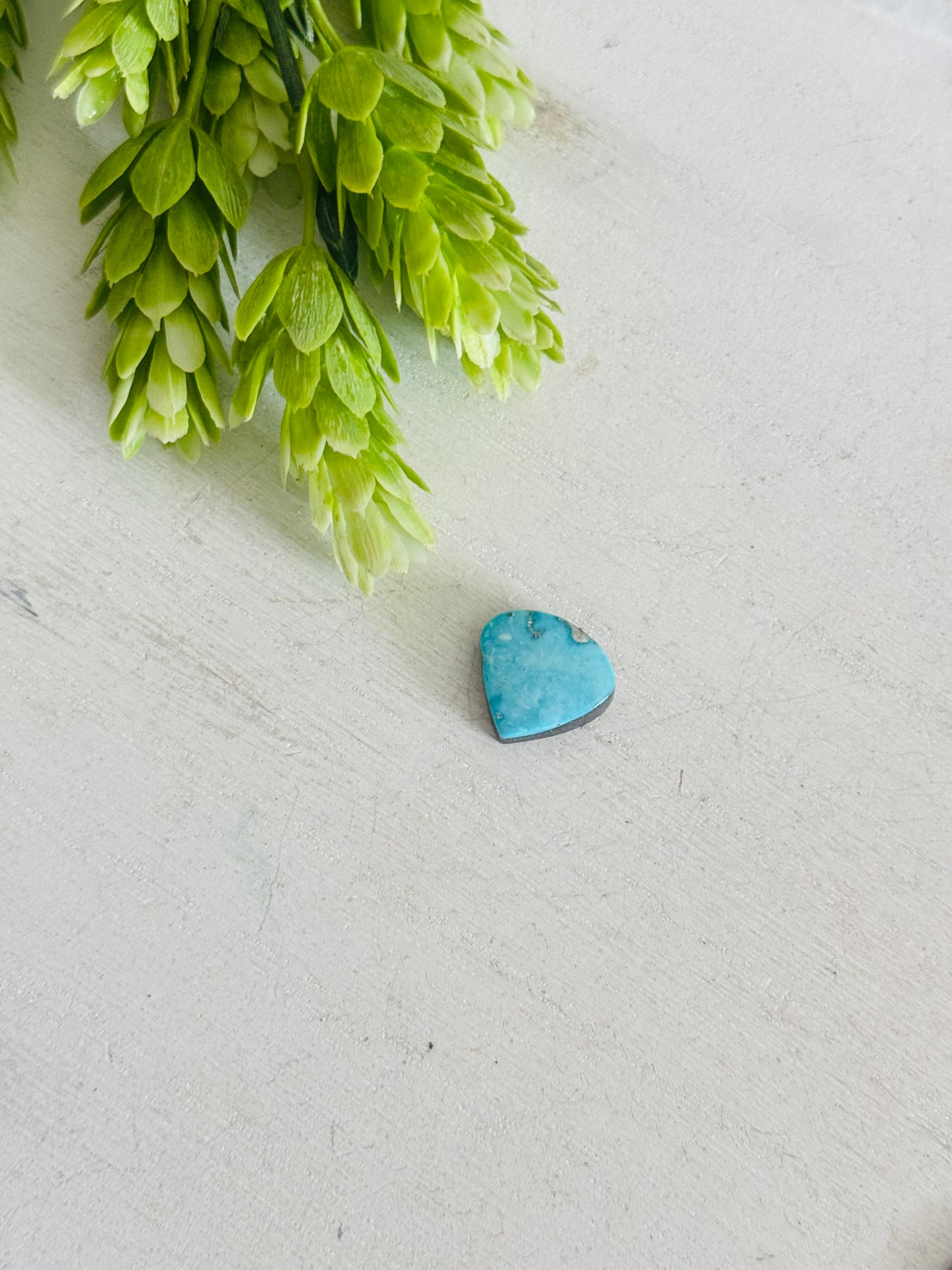 Blue Bird Turquoise Cab