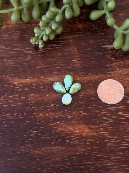 Sonoran Mountain Turquoise Cabs