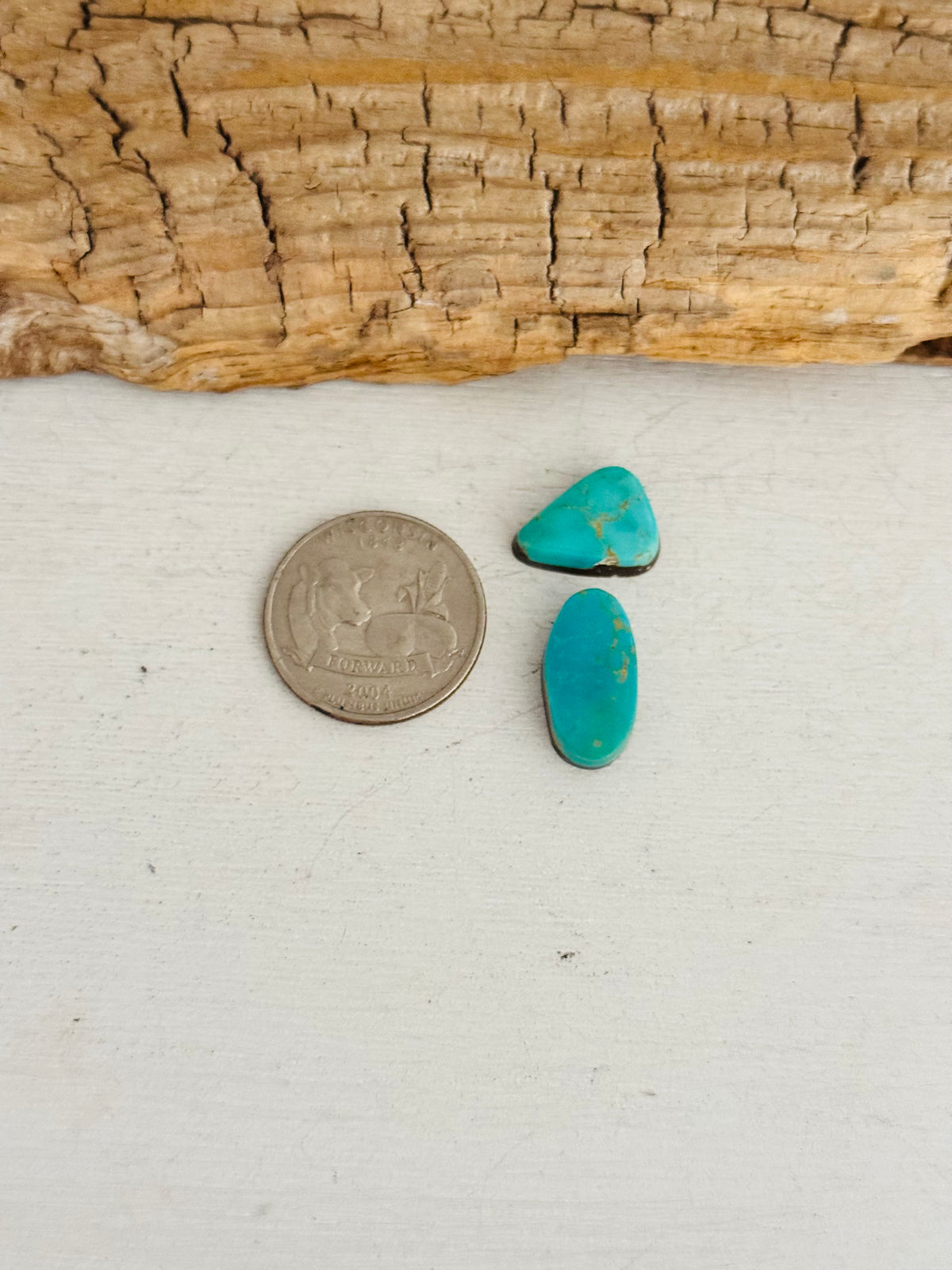 Natural Kings Manassa Turquoise Cabs