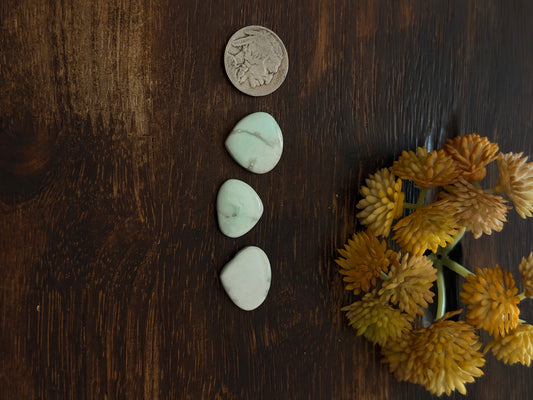 Paloma Variscite Cabs