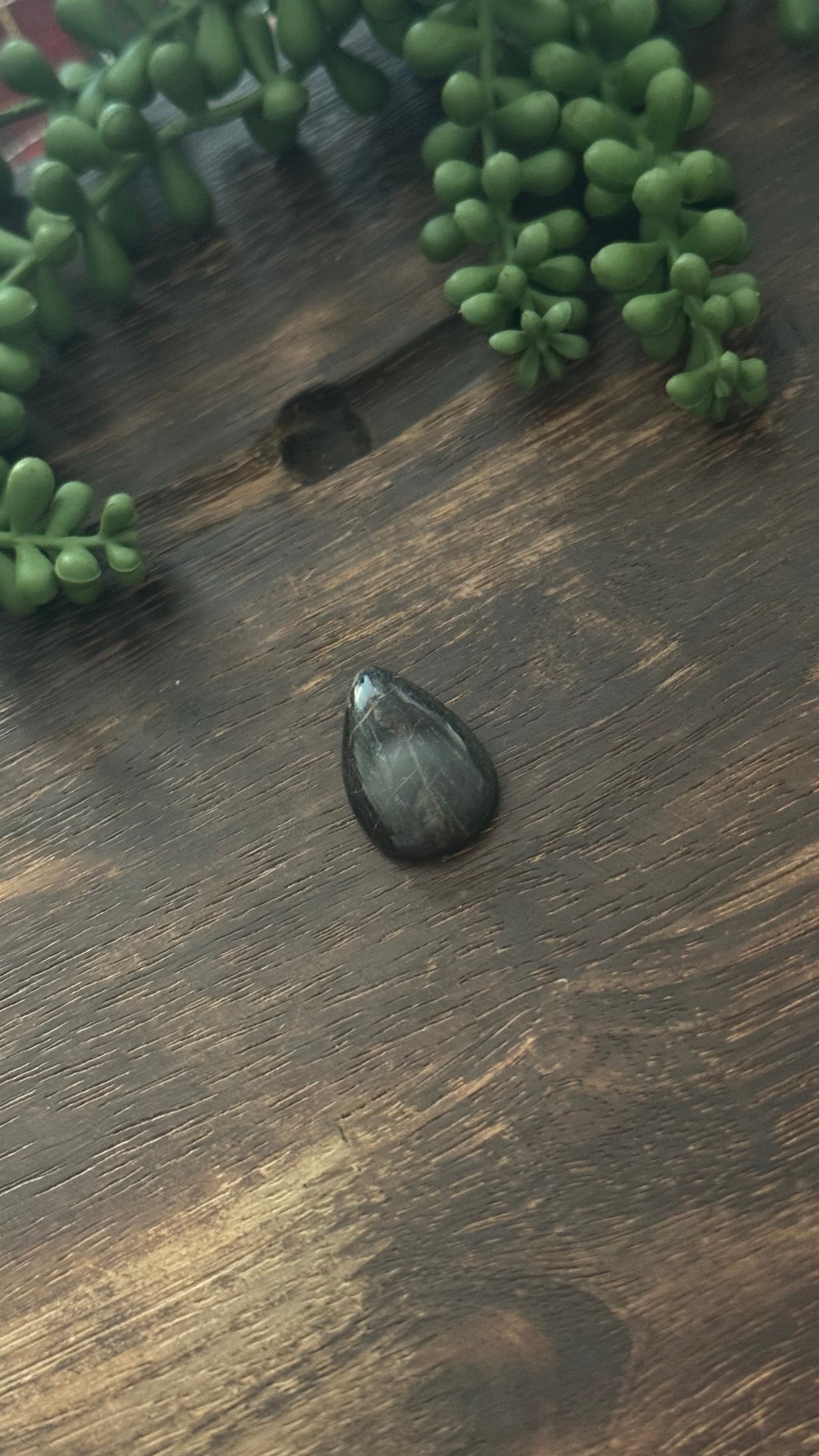 Black Jack Turquoise Cab