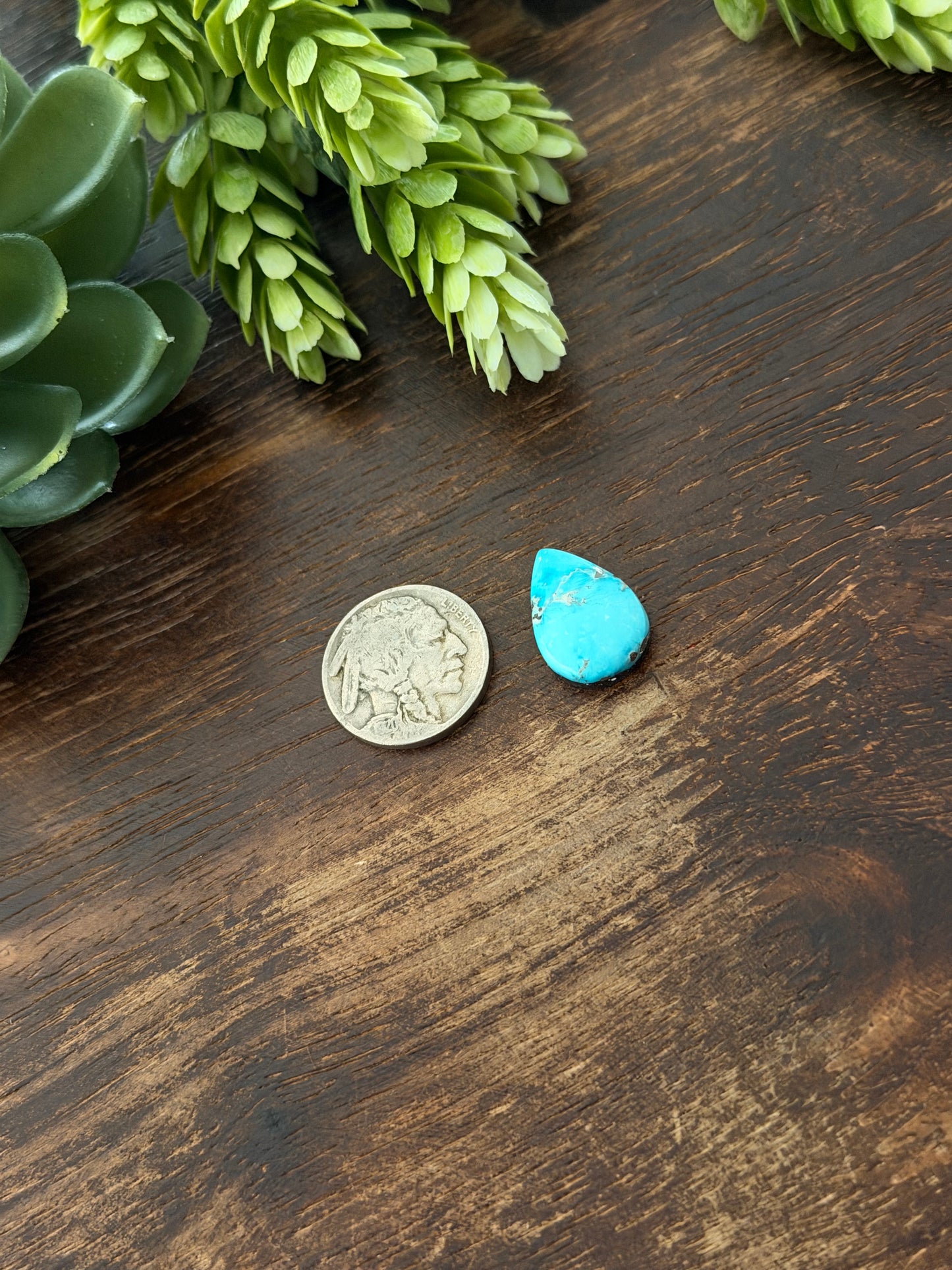 Blue Bird Turquoise Cab