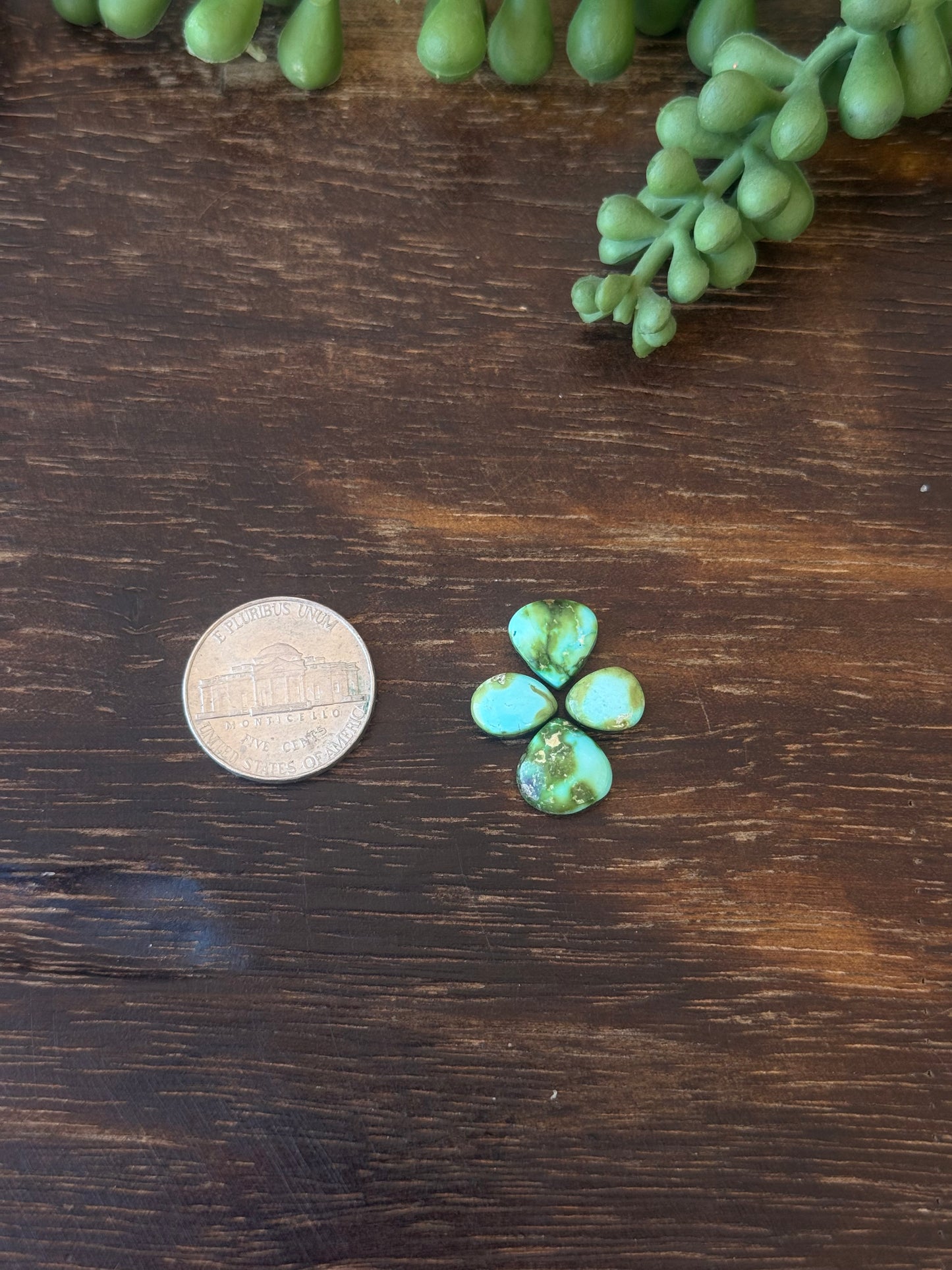 Sonoran Mountain Turquoise Cabs