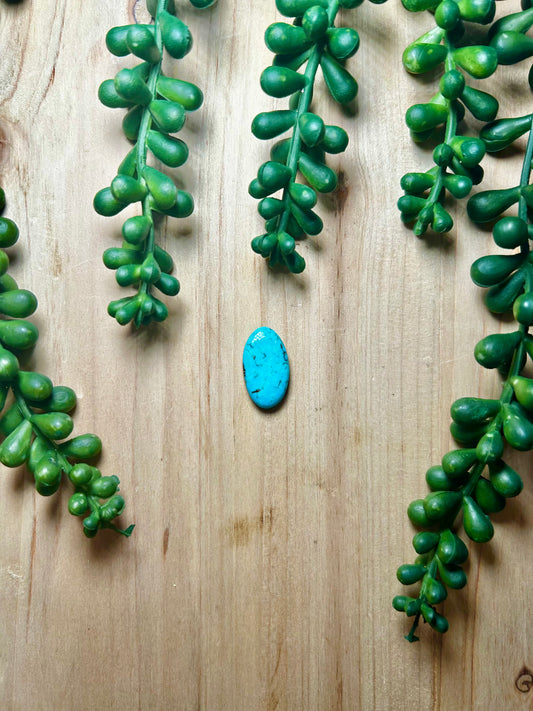 Kingman Turquoise Cab