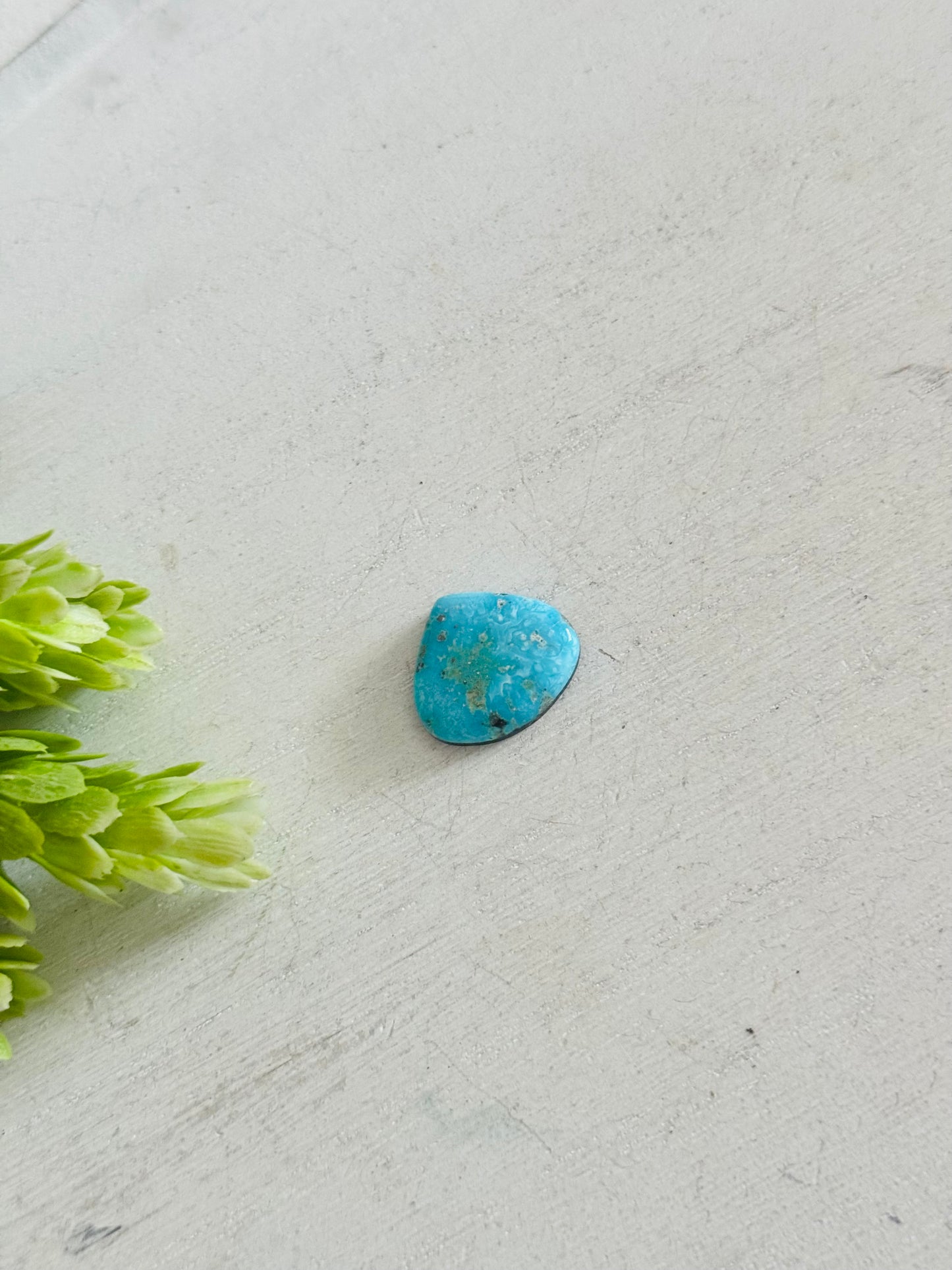 Blue Bird Turquoise Cab