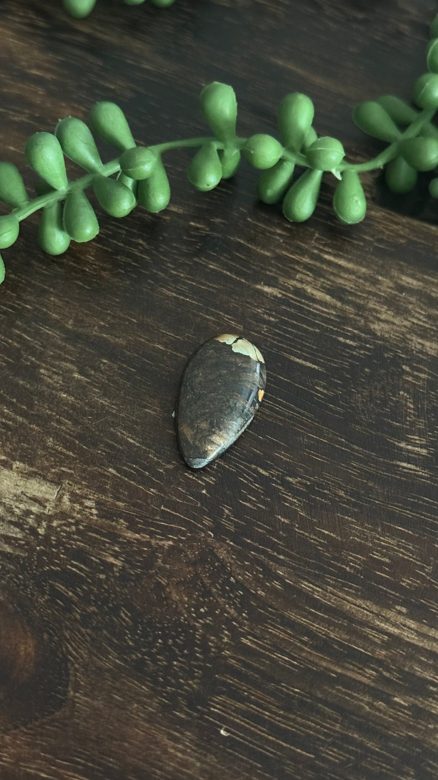 Black Jack Turquoise Cab