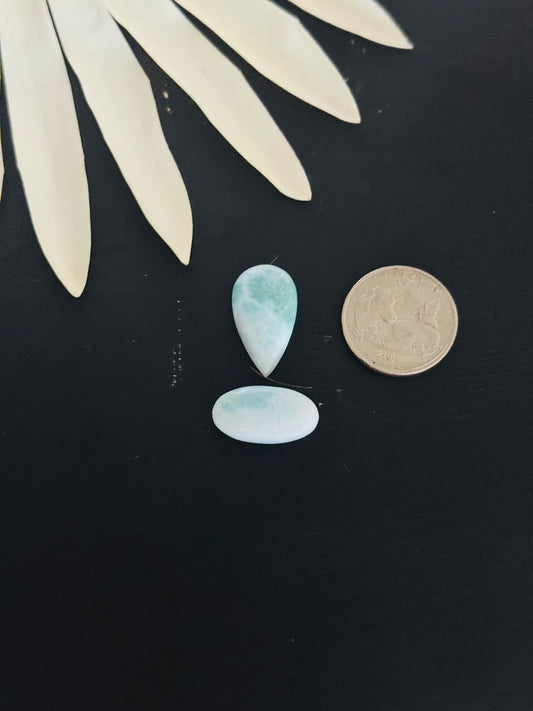 Larimar Cabs