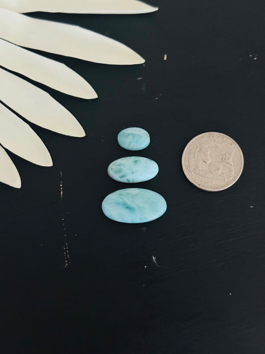 Larimar Cabs