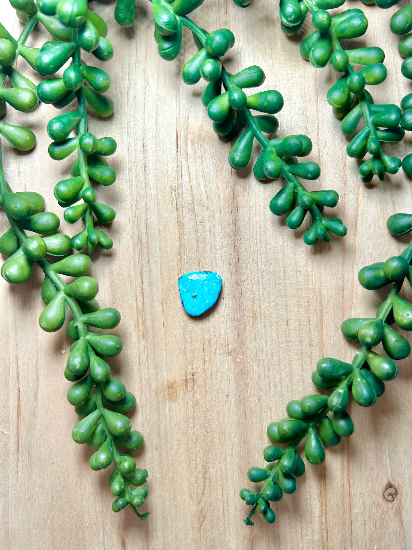 Blue Ridge Turquoise Cab