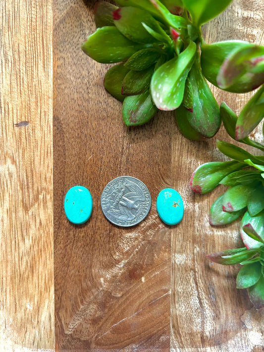 Kingman Turquoise Cabs