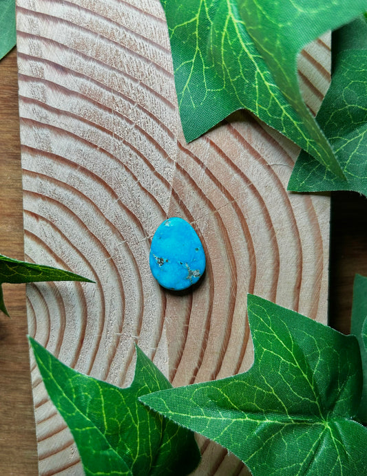 Blue Bird Turquoise Cabs