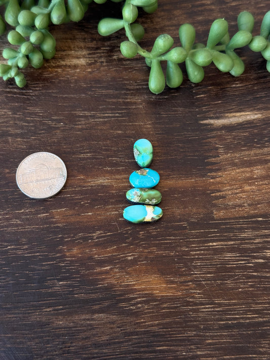 Sonoran Mountain Turquoise Cabs