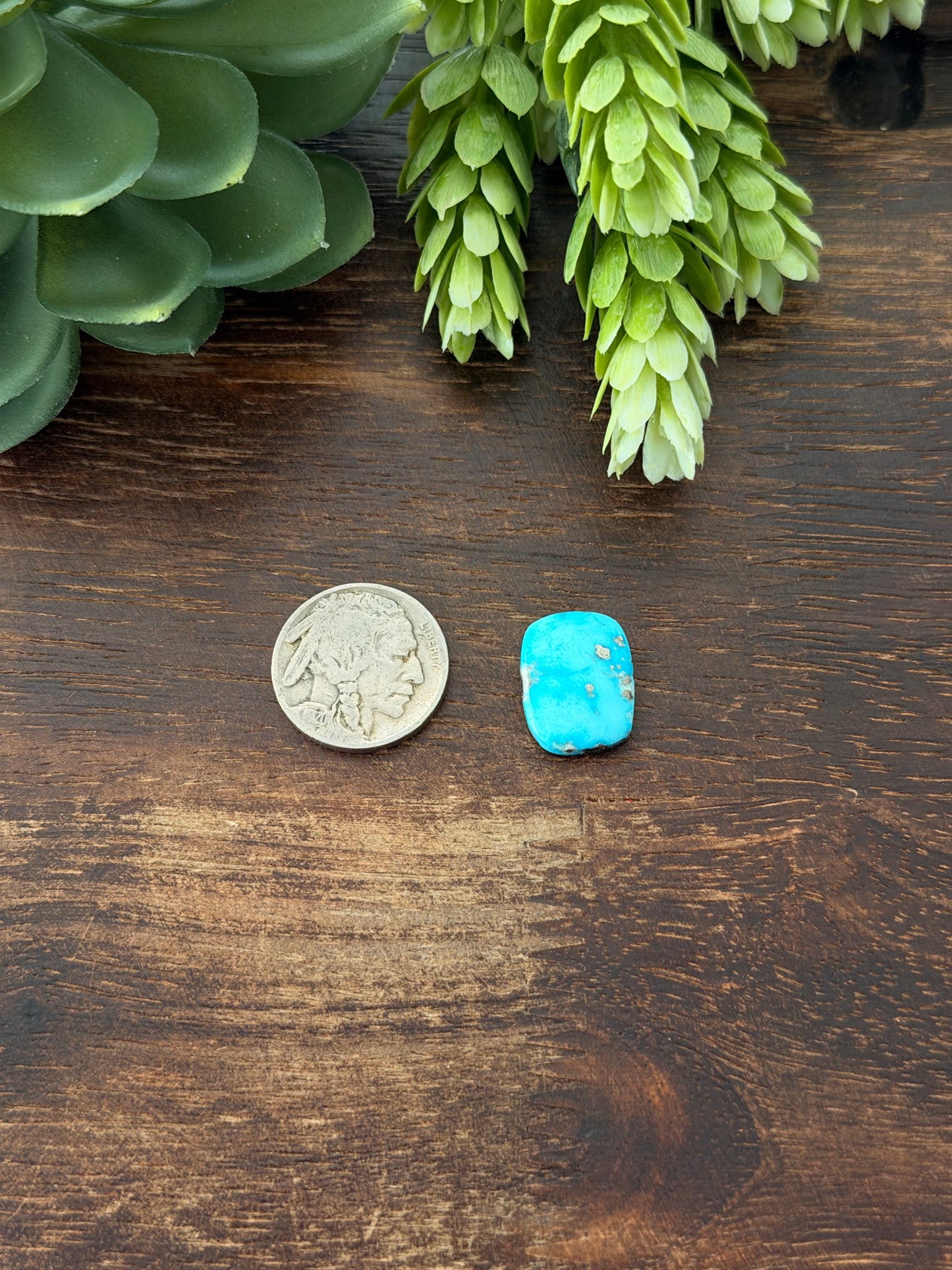 Blue Bird Turquoise Cab