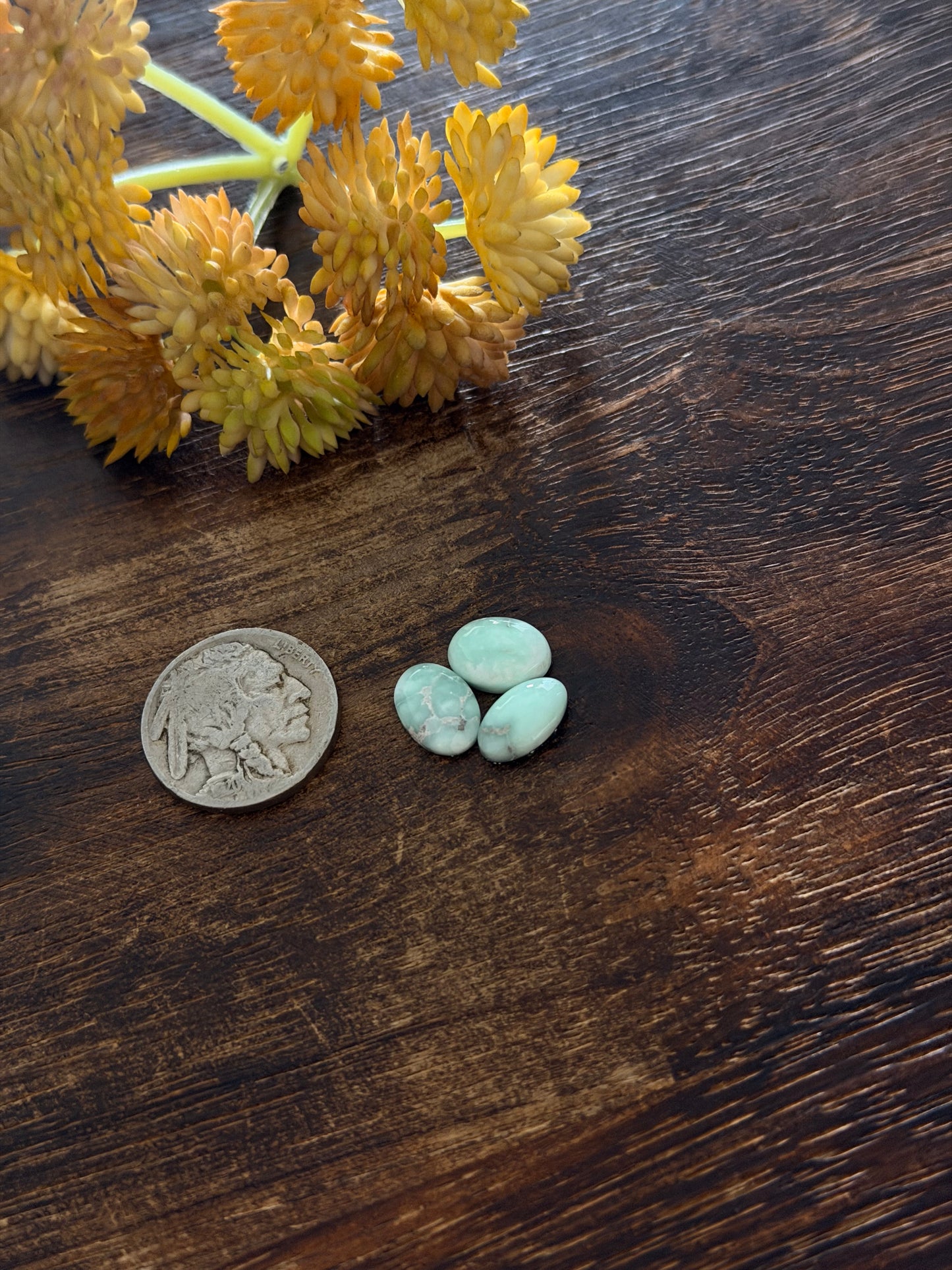 Paloma Variscite Cabs