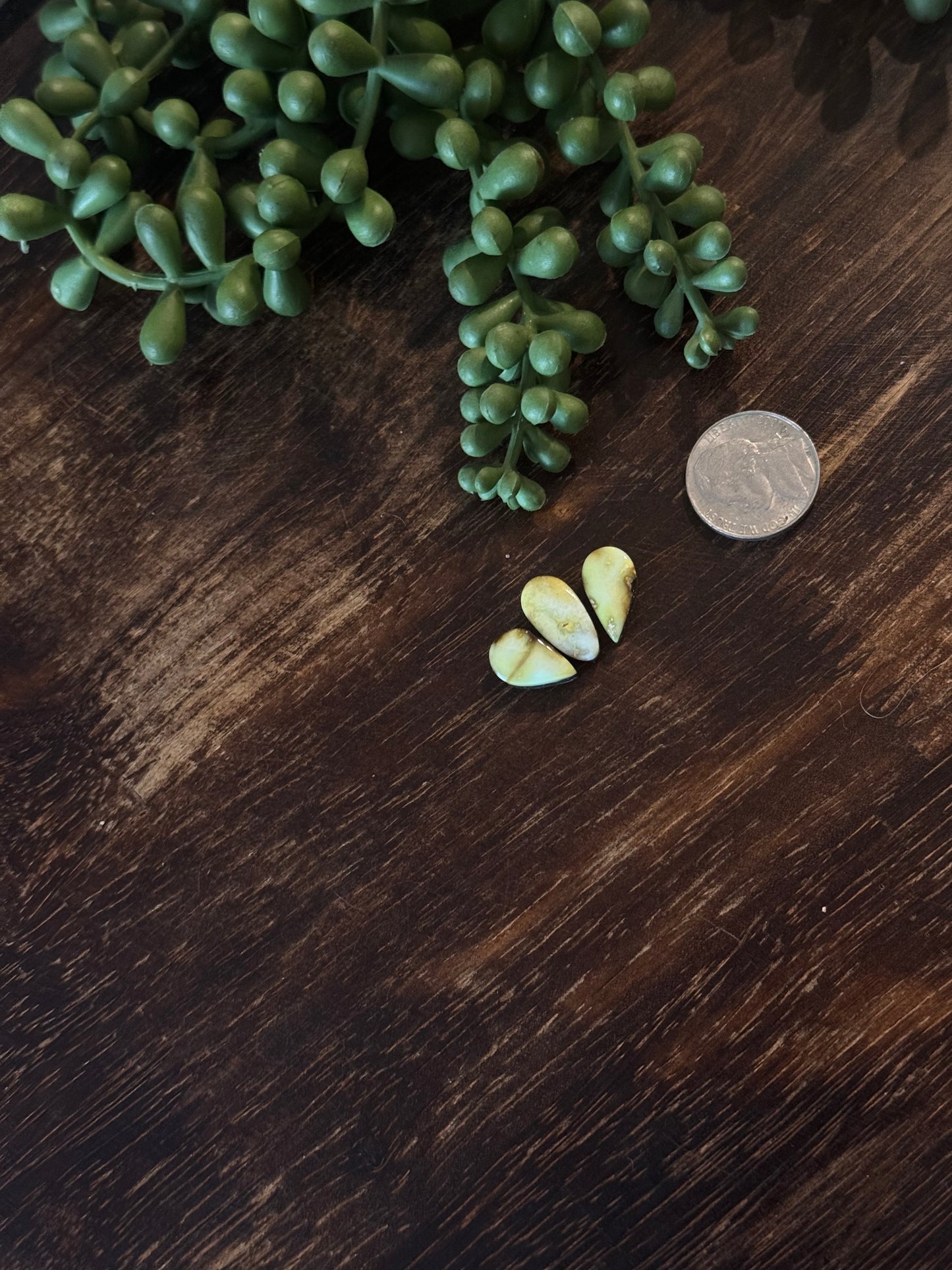 Palomino Variscite Cabs