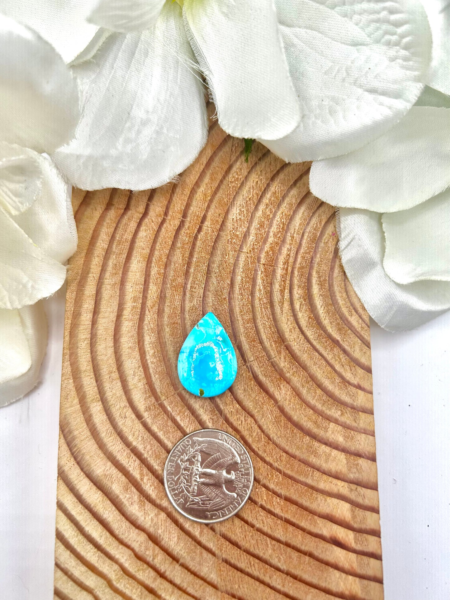 Blue Ridge Turquoise Cab