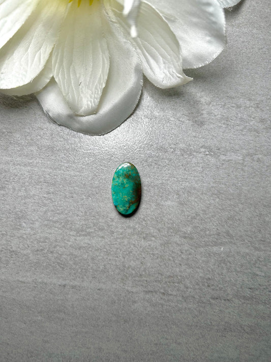 Kingman Turquoise Cab