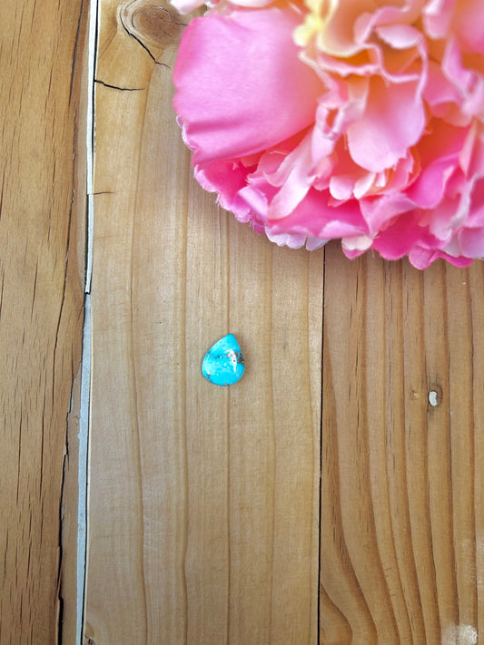 Blue Bird Turquoise Cabs