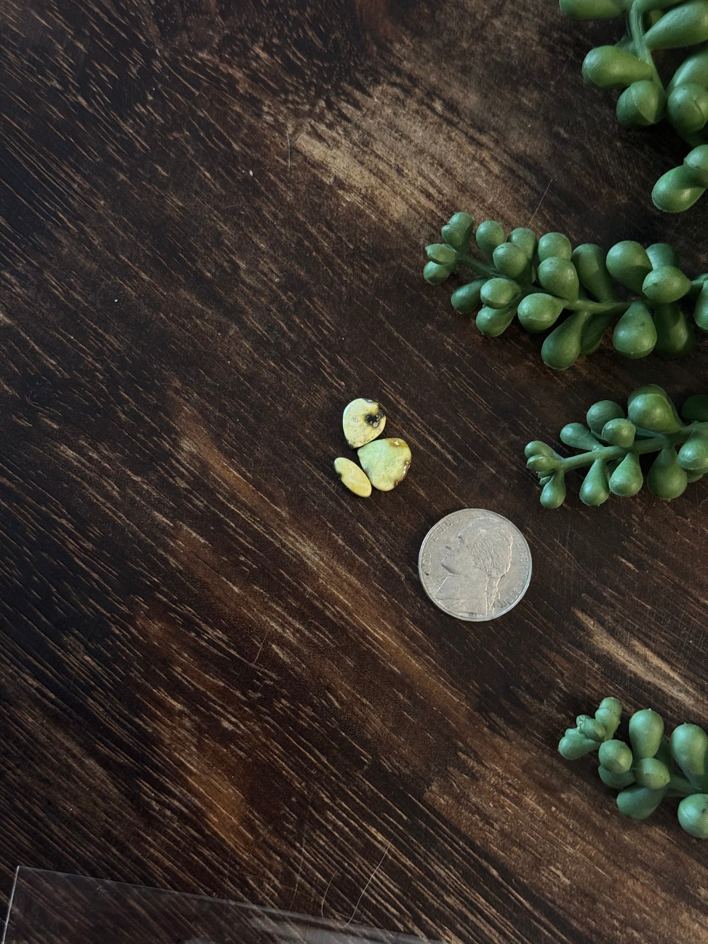 Palomino Variscite Cabs