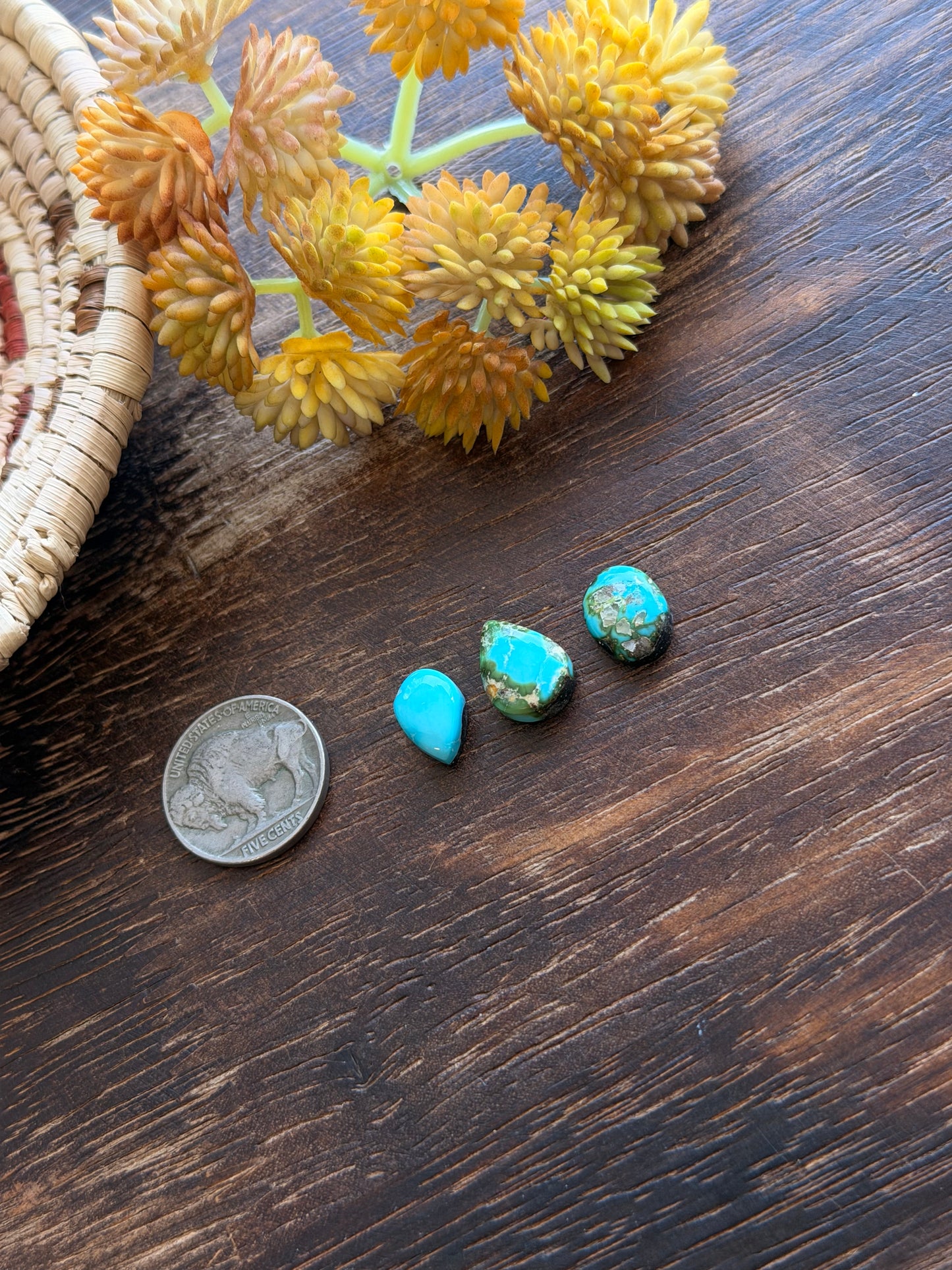 Sonoran Mountain Turquoise Cabs
