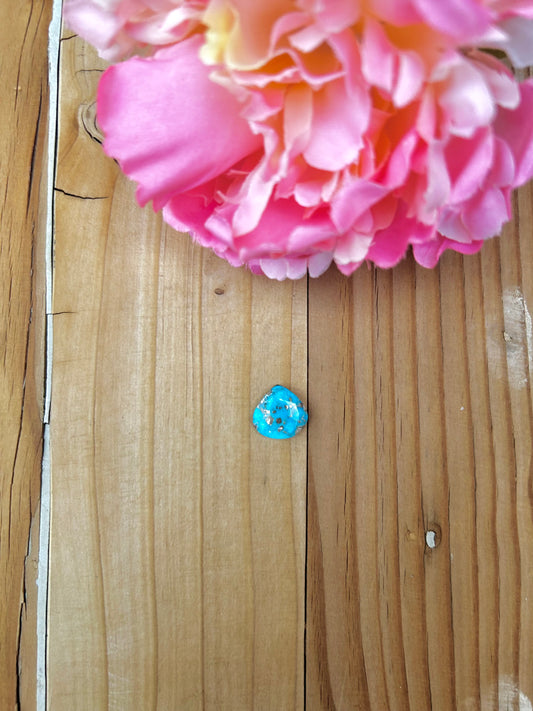 Blue Bird Turquoise Cabs