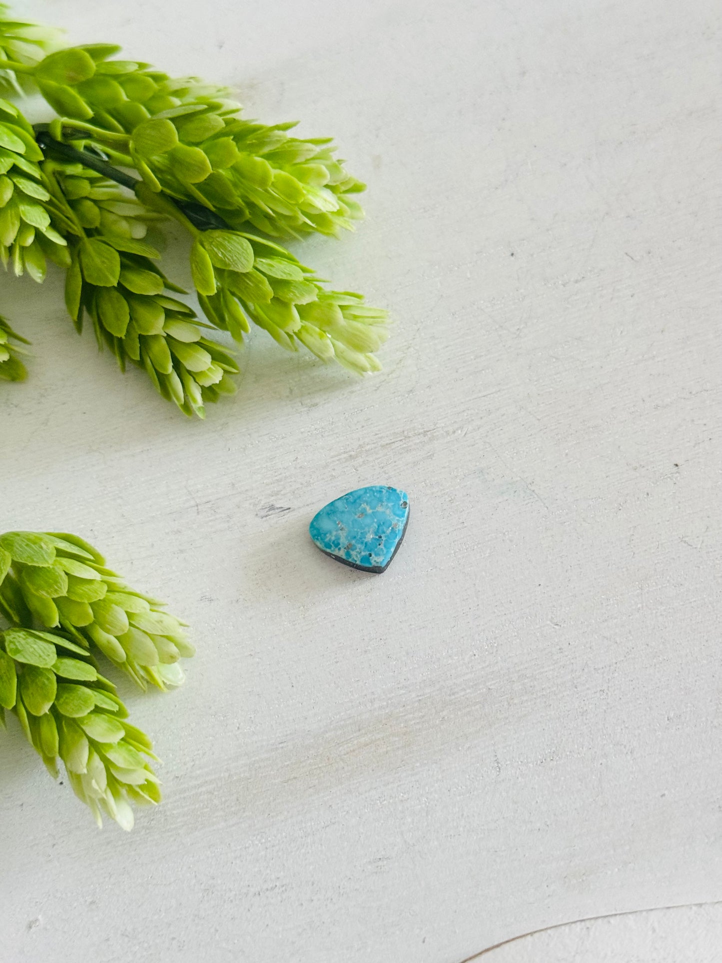 Blue Bird Turquoise Cab