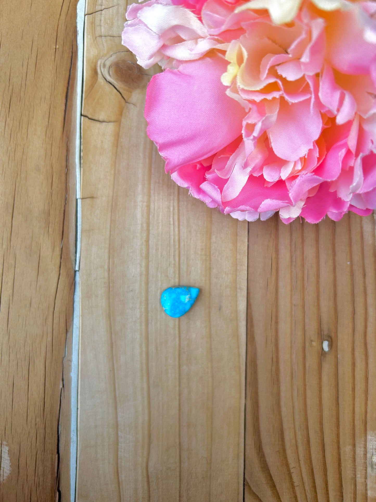 Blue Bird Turquoise Cabs