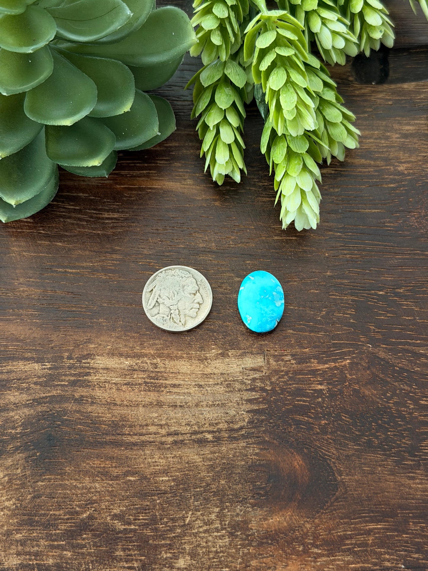 Blue Bird Turquoise Cab