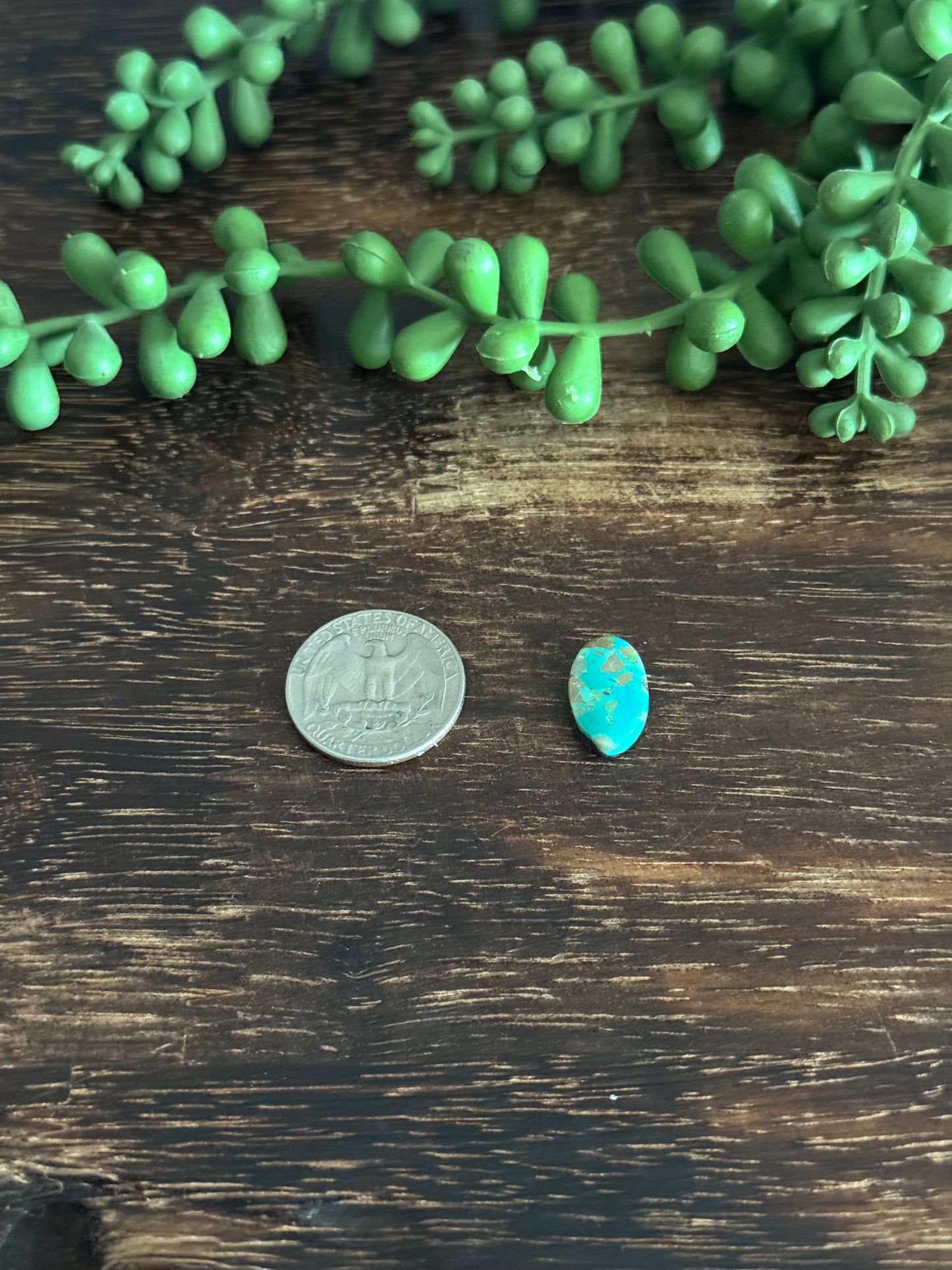 Kingman Turquoise Cab