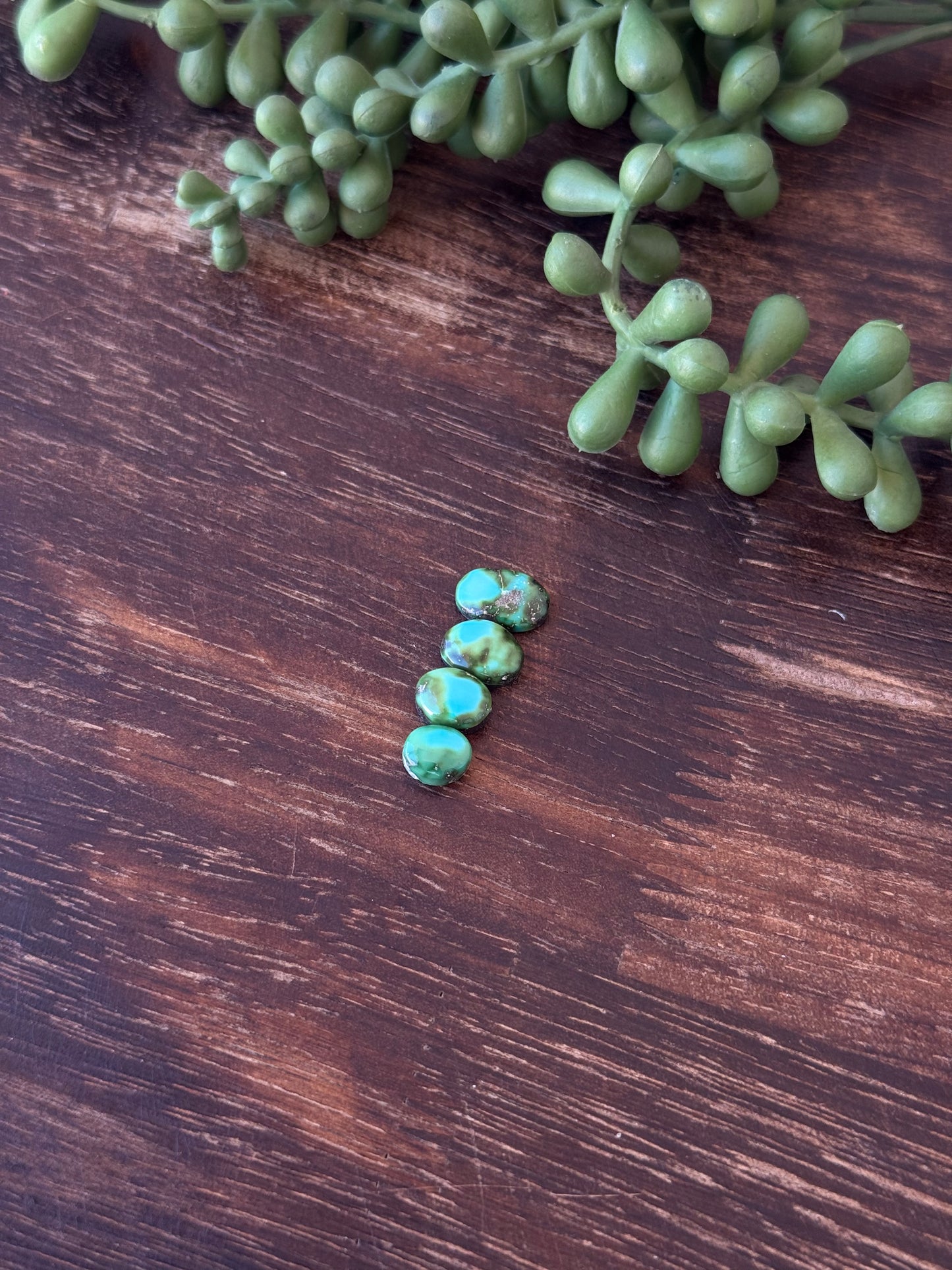 Sonoran Mountain Turquoise Cabs