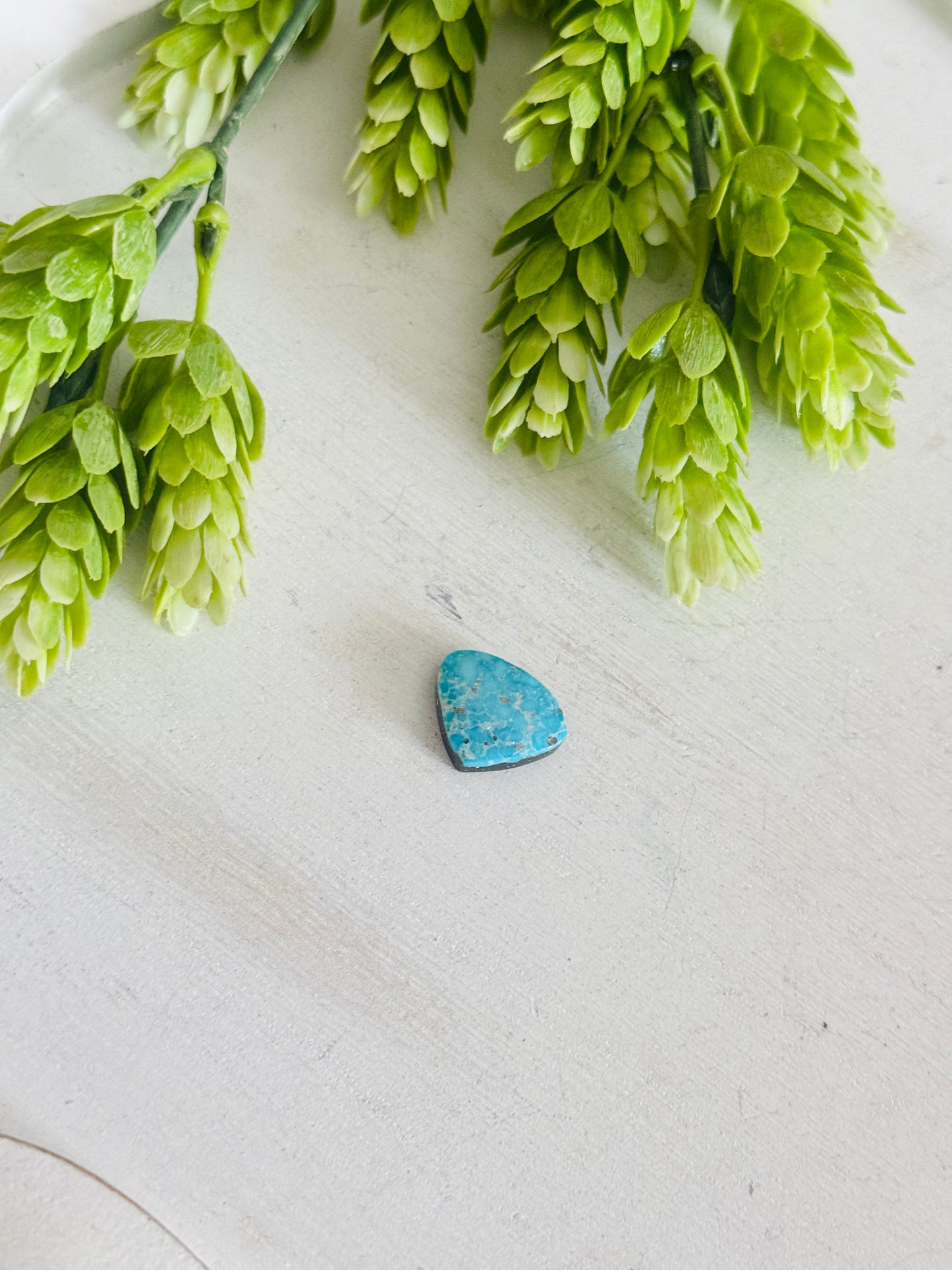 Blue Bird Turquoise Cab