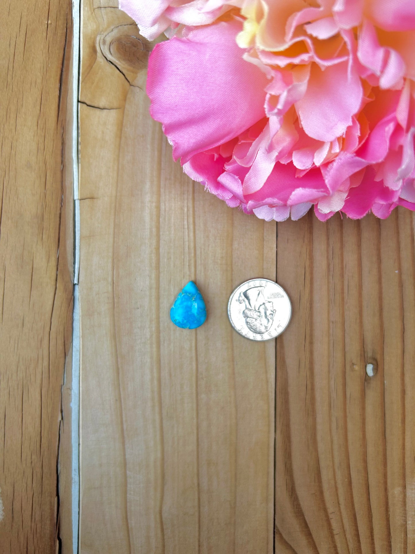 Blue Bird Turquoise Cabs