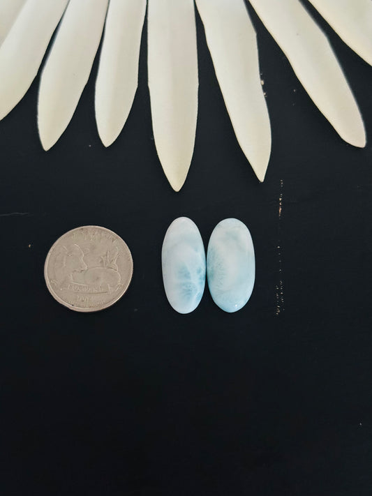 Larimar Cabs