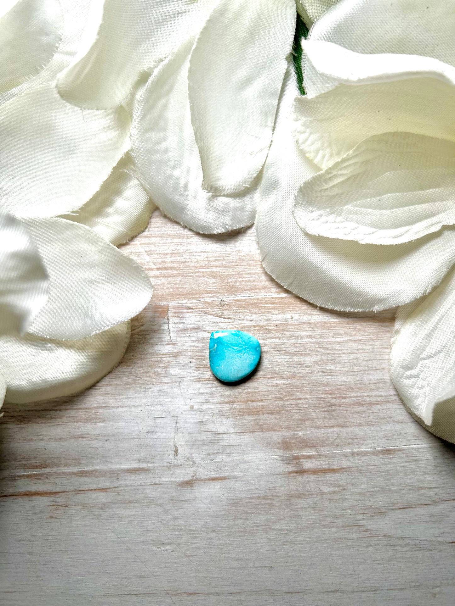 Blue Ridge Turquoise Cab