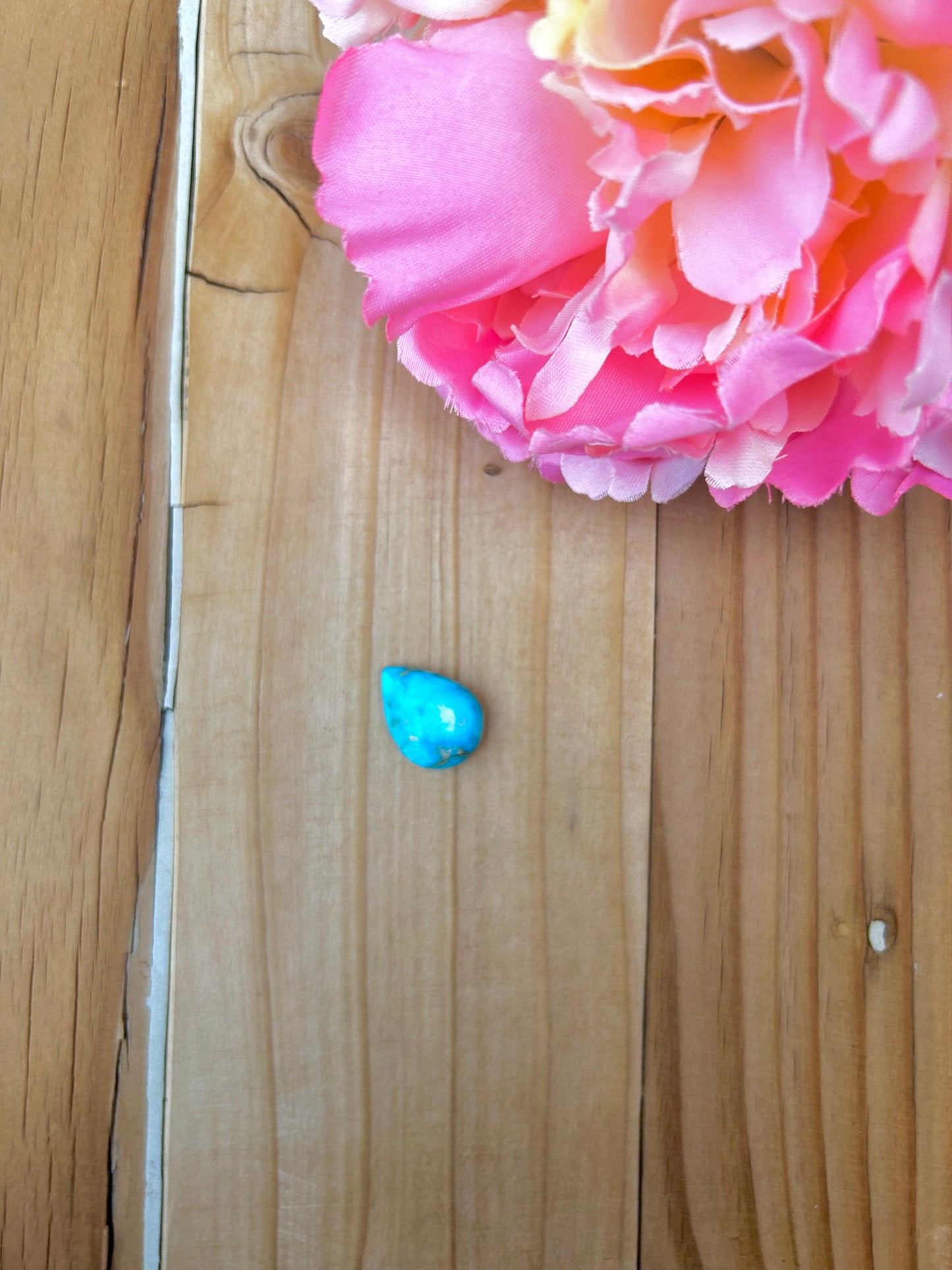 Blue Bird Turquoise Cabs