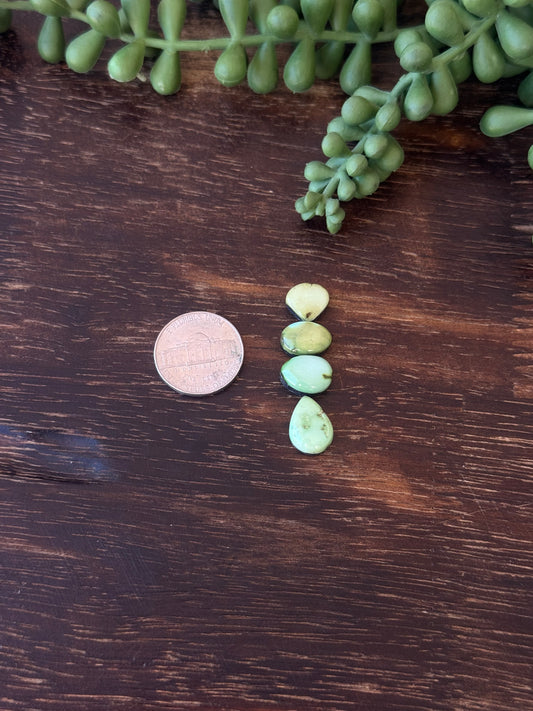 Sonoran Mountain Turquoise Cabs