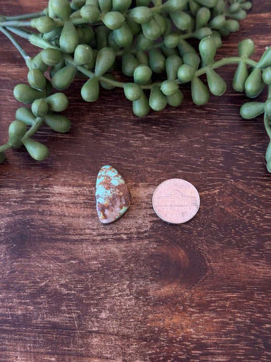 Kingman Turquoise Cab