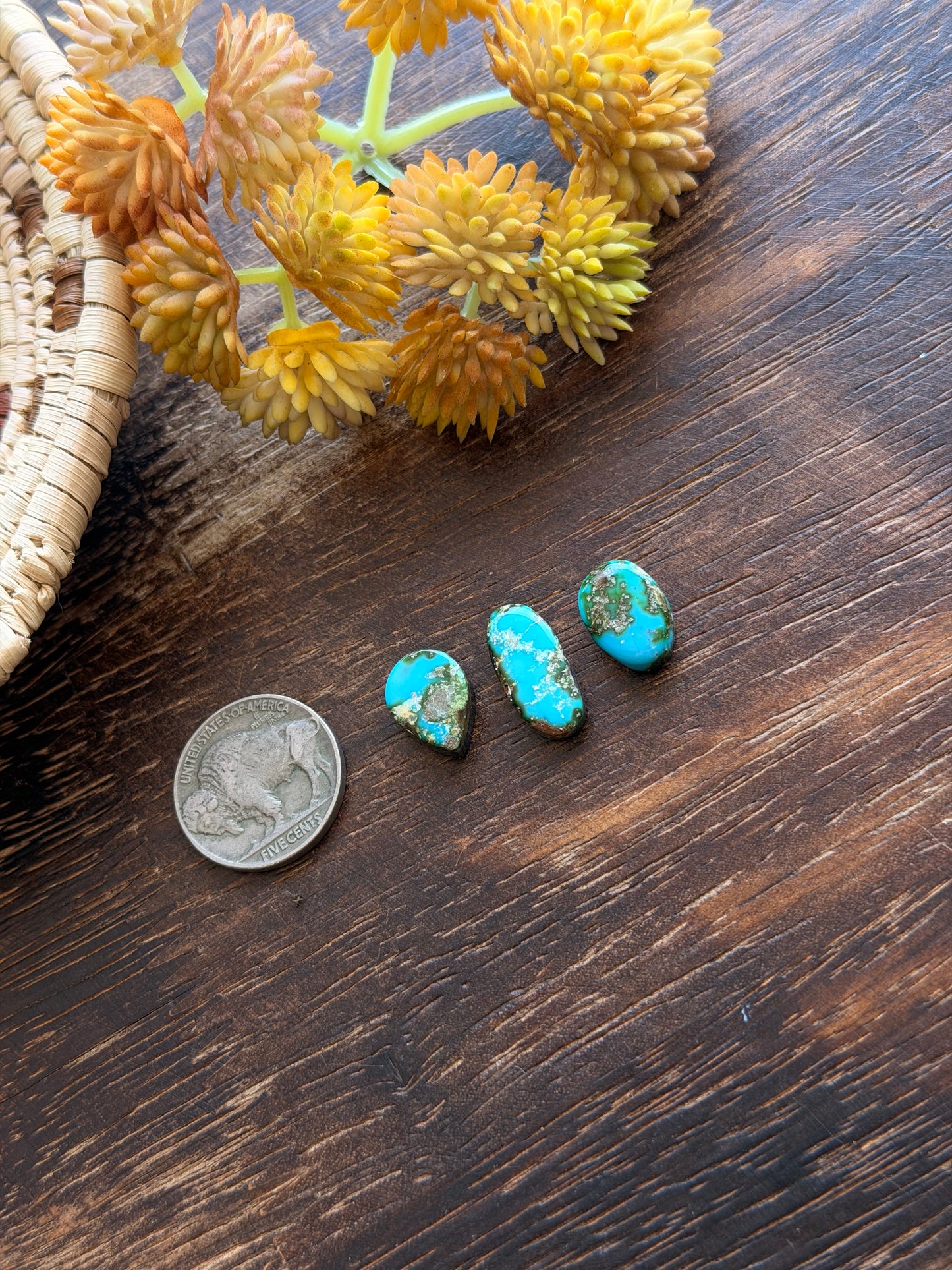 Sonoran Mountain Turquoise Cabs