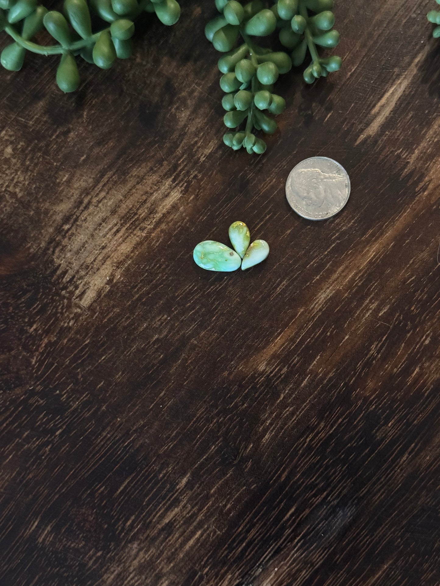 Palomino Variscite Cabs