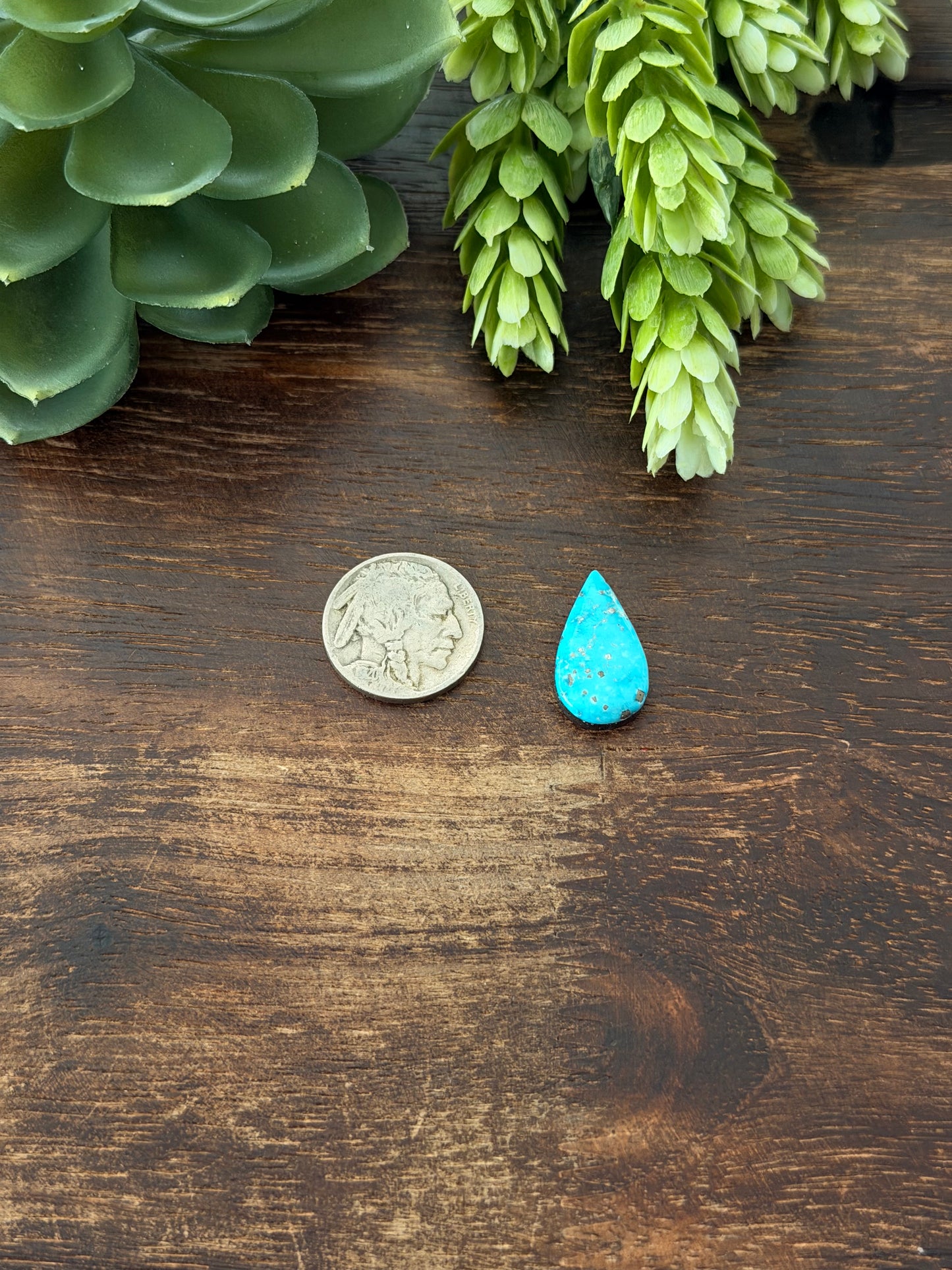 Blue Bird Turquoise Cab