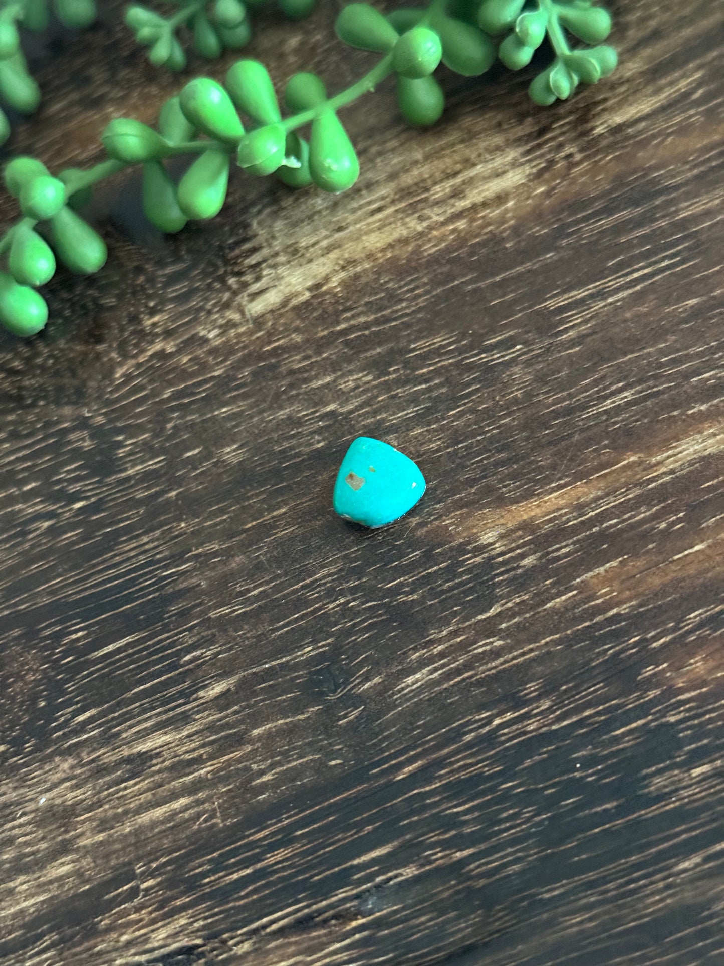 Kingman Turquoise Cab