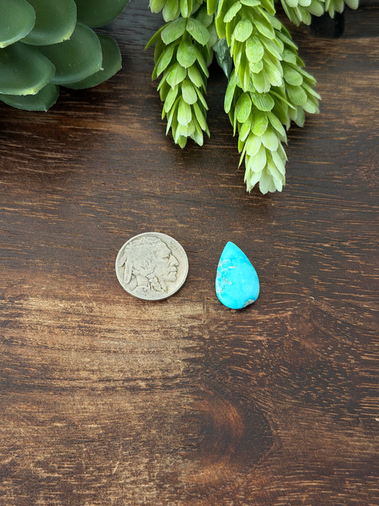 Blue Bird Turquoise Cab