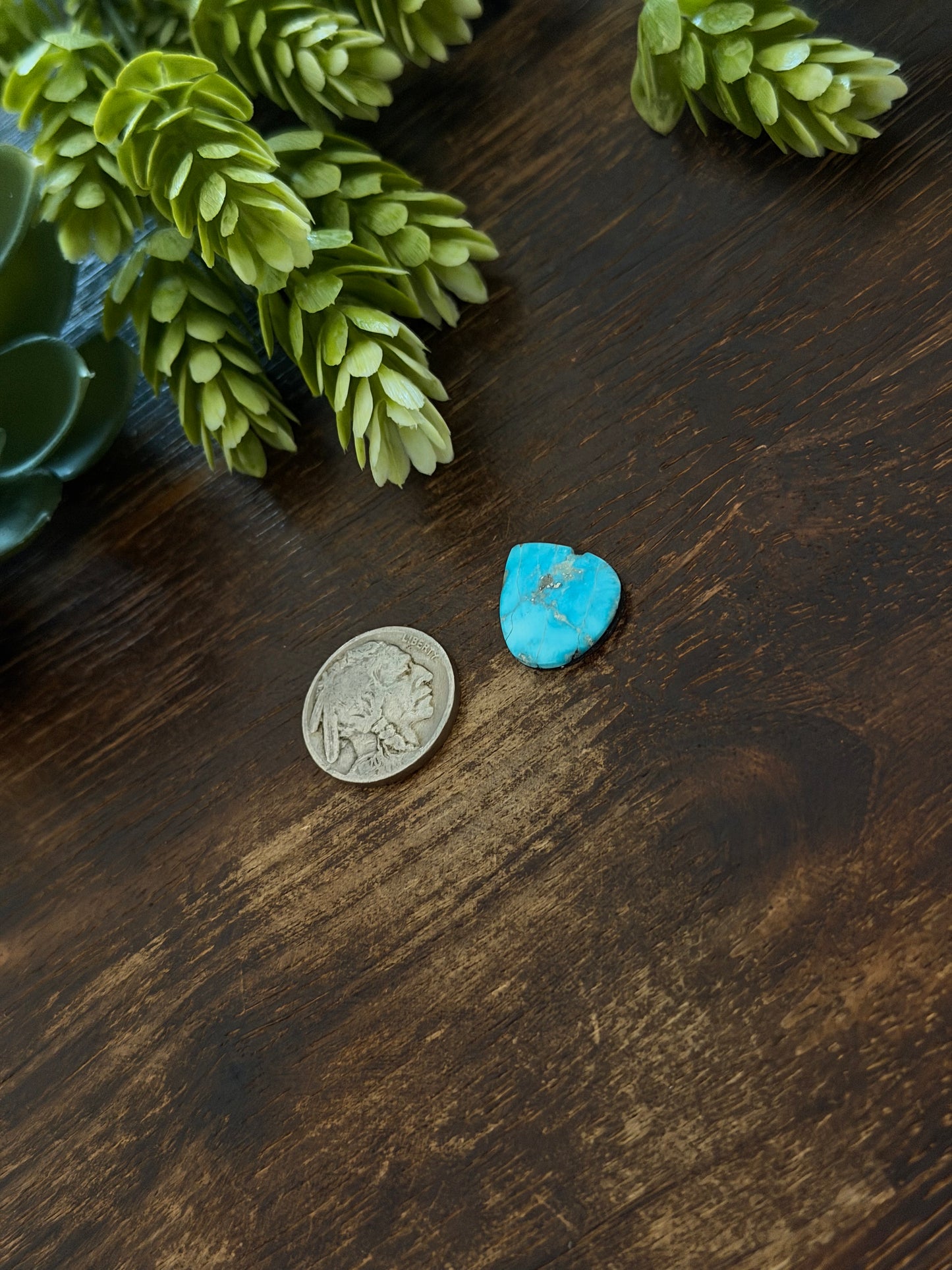 Blue Bird Turquoise Cab